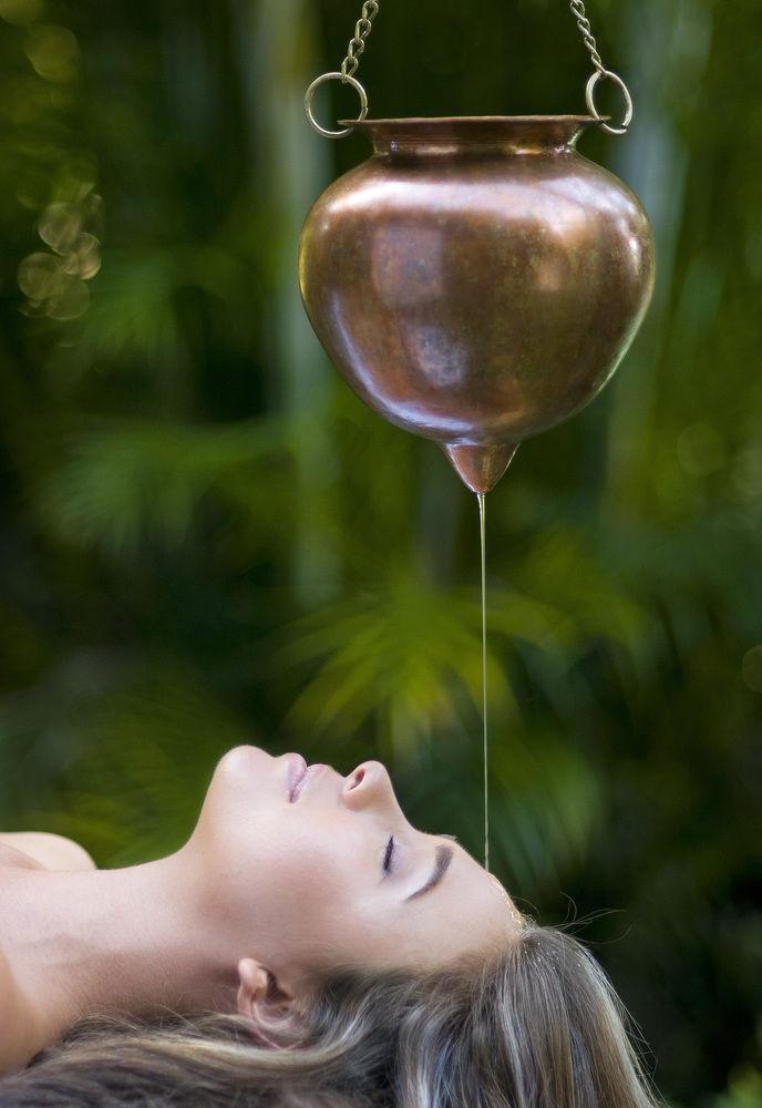 Gaia Retreat & Spa Brooklet Exterior photo